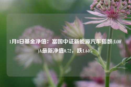 1月8日基金净值：富国中证新能源汽车指数(LOF)A最新净值0.72，跌1.64%